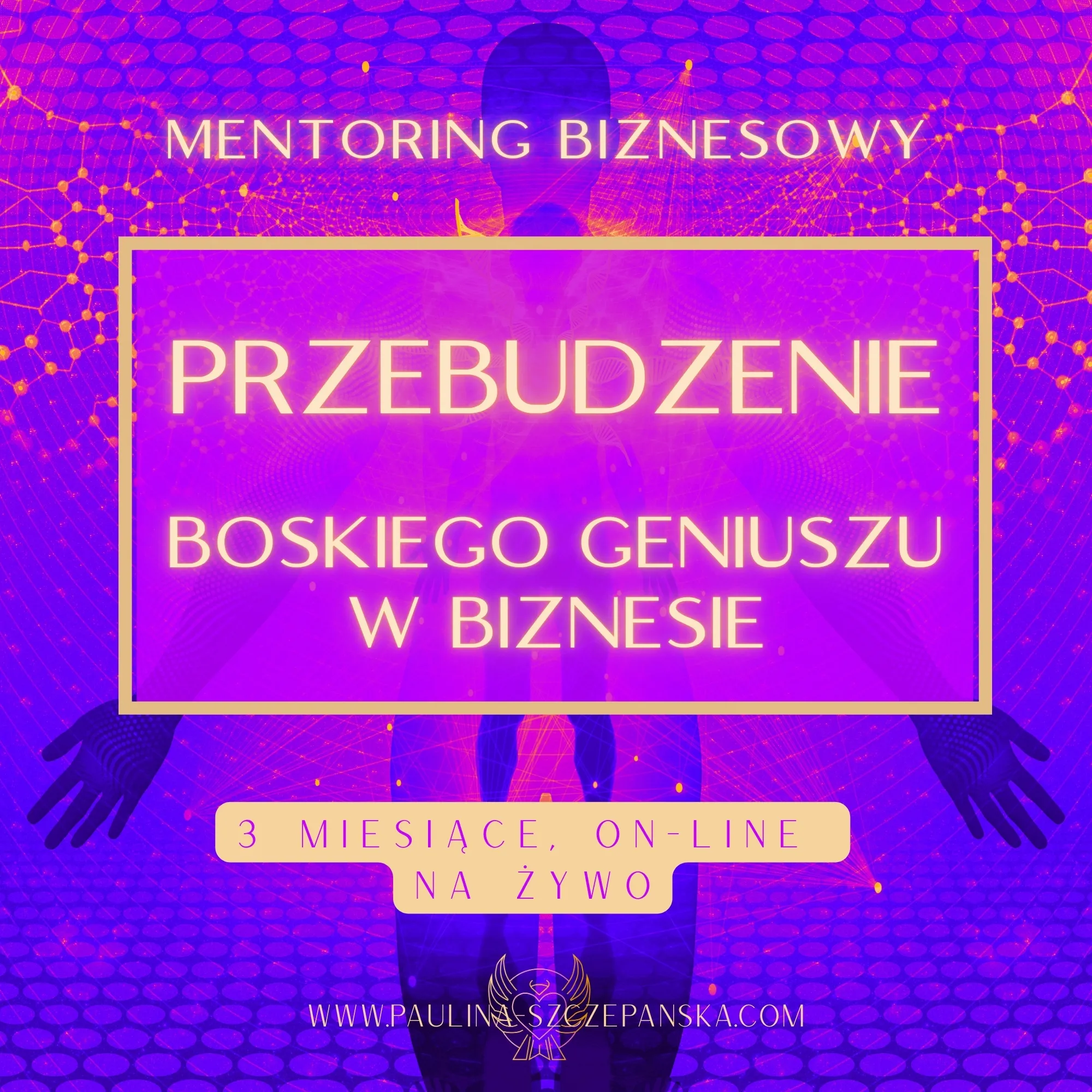PRZEBUDZENIE BOSKIEGO GENIISZU Mentoring Biznesowy 3 miesiące Kosultacja Paulina Szczepańska